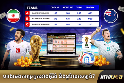 ហាងឆេងការ​ប្រកួត​រវាង​អ៊ីរ៉ង់ និង​នូវែលសេឡង់?
